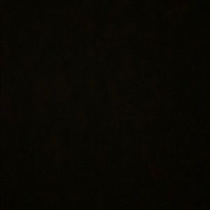 Meet your Posher, Leanne